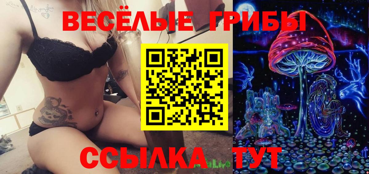 Когалым  Галлюциногенные грибы Magic Shrooms  Псилоцибиновые грибы ЛСД  где найти наркотики  Вход с VPN 